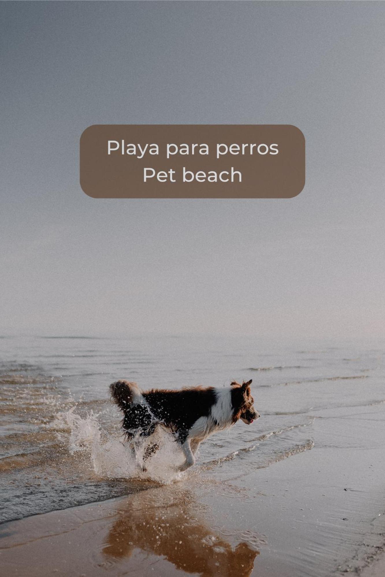 Canelita Con Piscina, Soleada Terraza Amplia Wifi Y Parking Appartement Corralejo